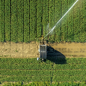 hose reel irrigation systems