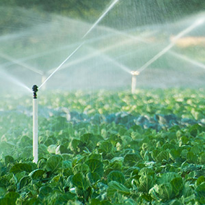 solid set irrigation systems