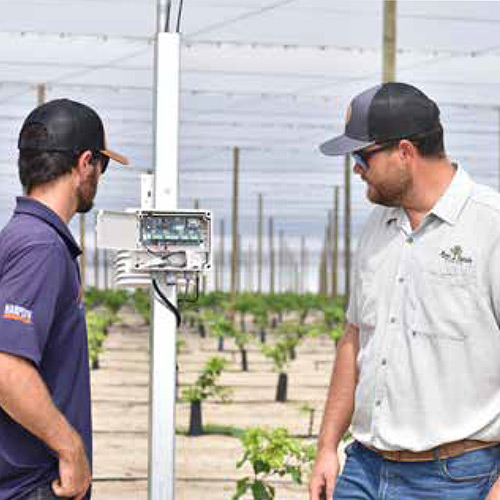 sam mixon Gapway mixon farms