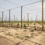 micro-jet irrigation system by harplyn irrigation