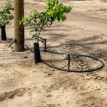 micro-jet irrigation system by harplyn irrigation