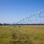 pivots and linear by harplyn irrigation
