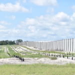 Galway mixon farms cups